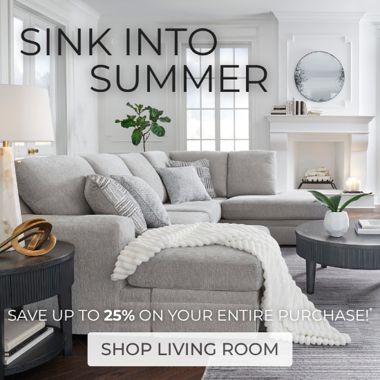 Shop Living Room
