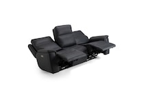   leathermatch sofa   