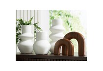 aac brown white miscellaneous   