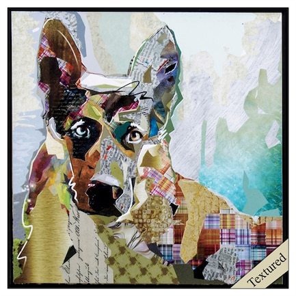 German Shepard Youth