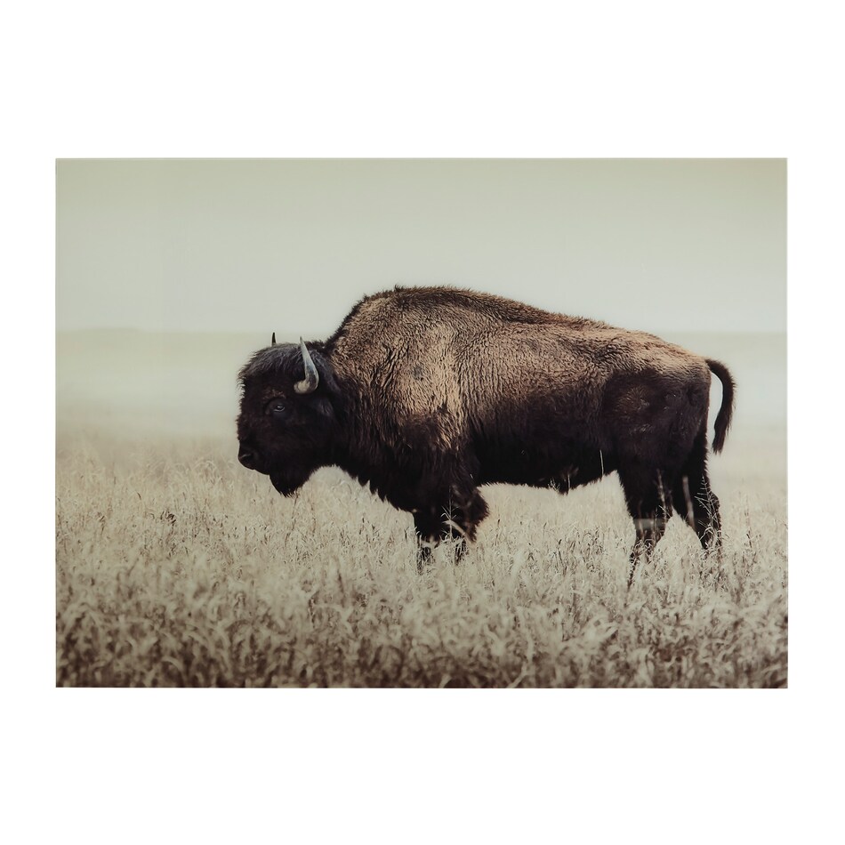 acrylic paintings prints oil paintings   