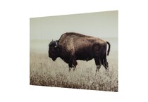 acrylic paintings prints oil paintings   