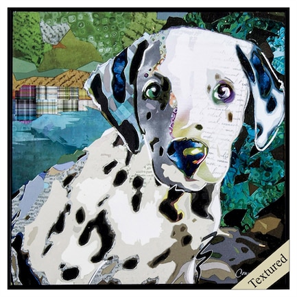Dalmation Art Youth