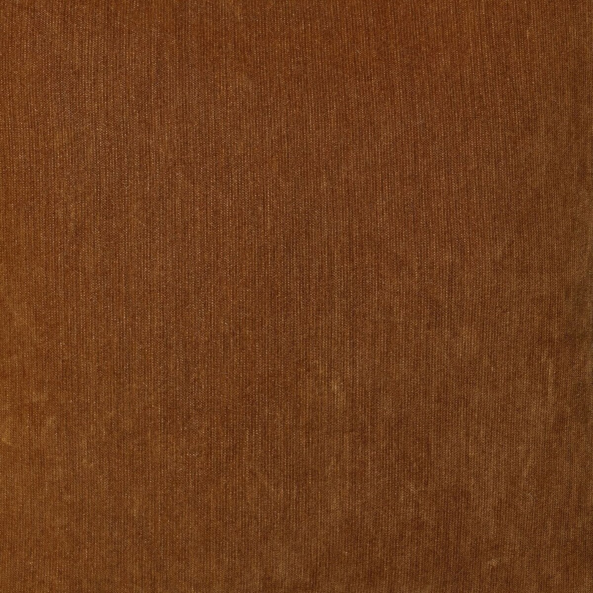 amberwood swatch