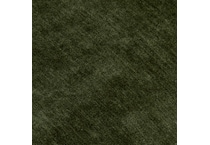 amici moss swatch  
