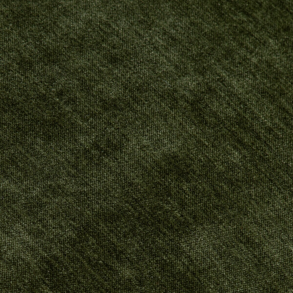 amici moss swatch