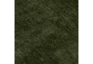 amici moss swatch
