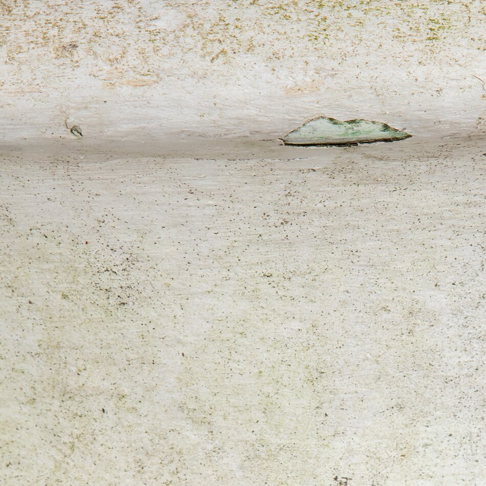 antique art accessories   