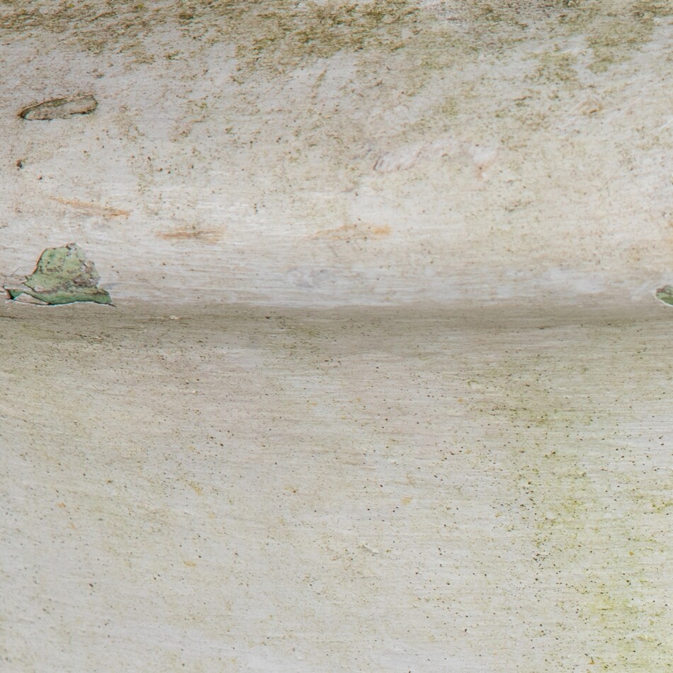 antique art accessories   