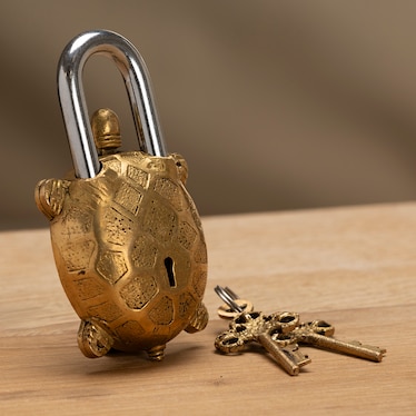 Brass Lock Turtle