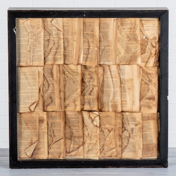 Framed French Books II