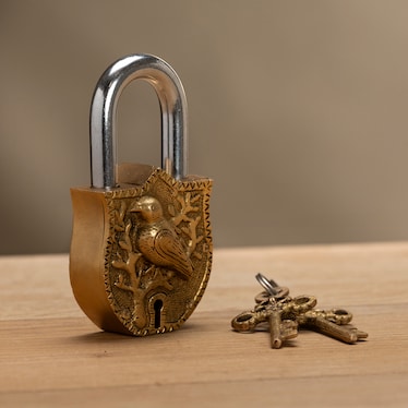 Brass Lock Bird