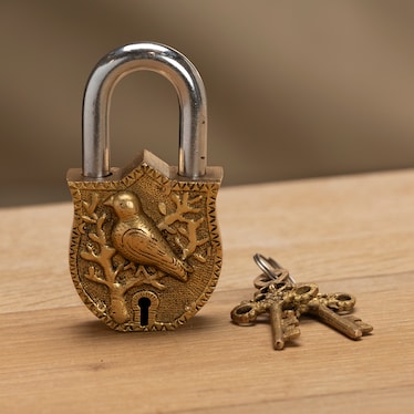 Brass Lock Bird