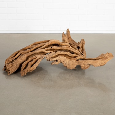 Teak Root