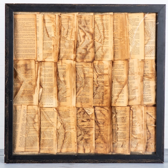 Framed French Books