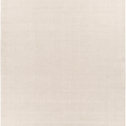 Bari 8 x 10 Area Rug