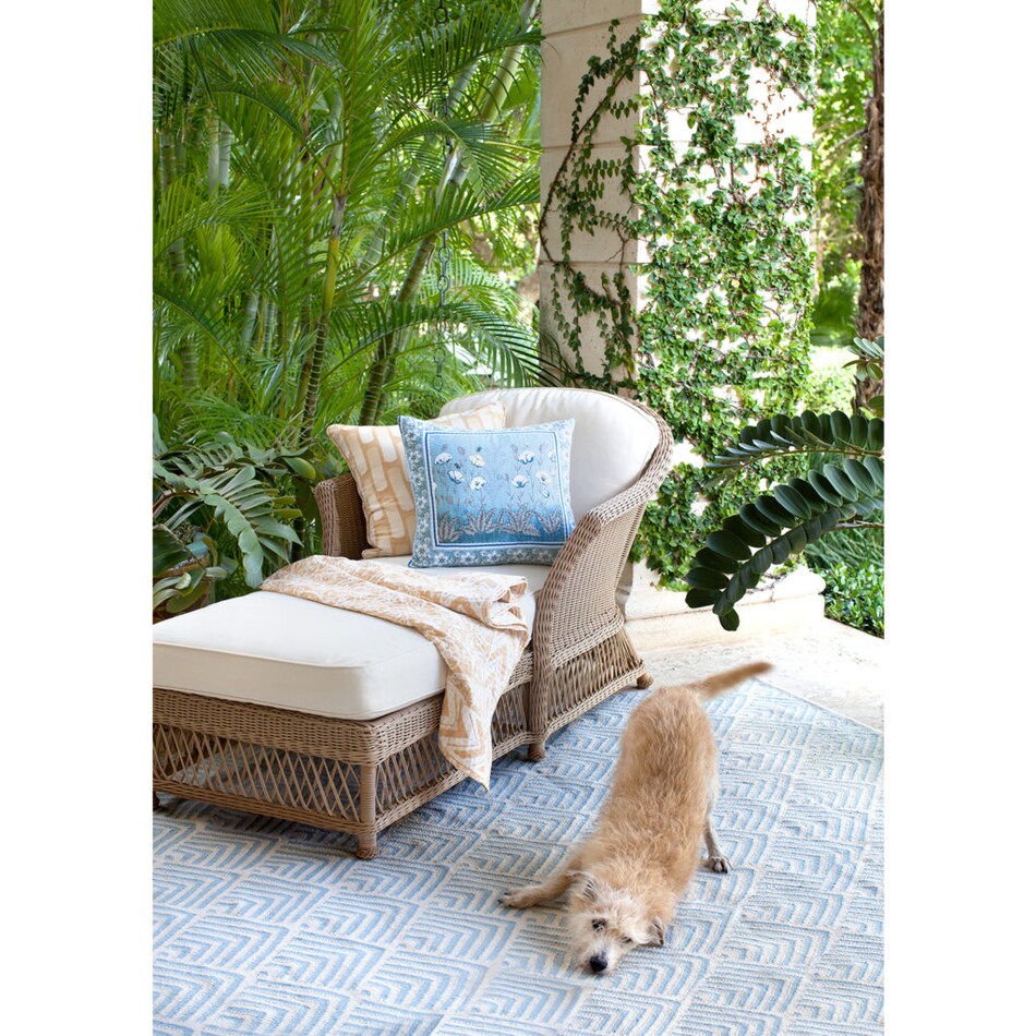 area rug  room image  