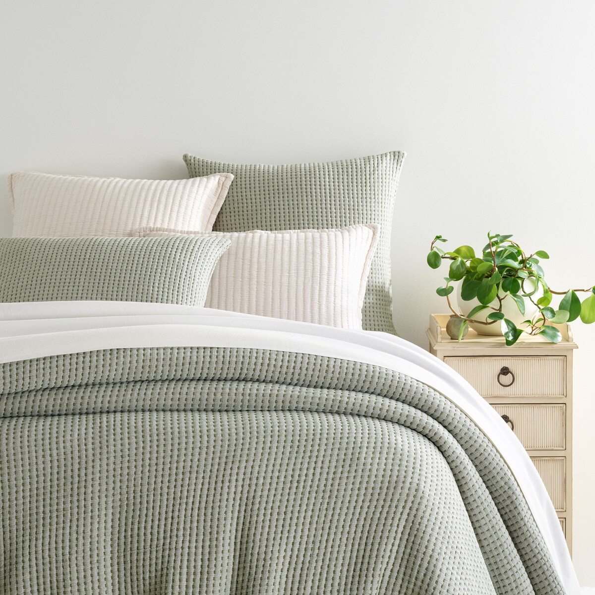 august haven bedding