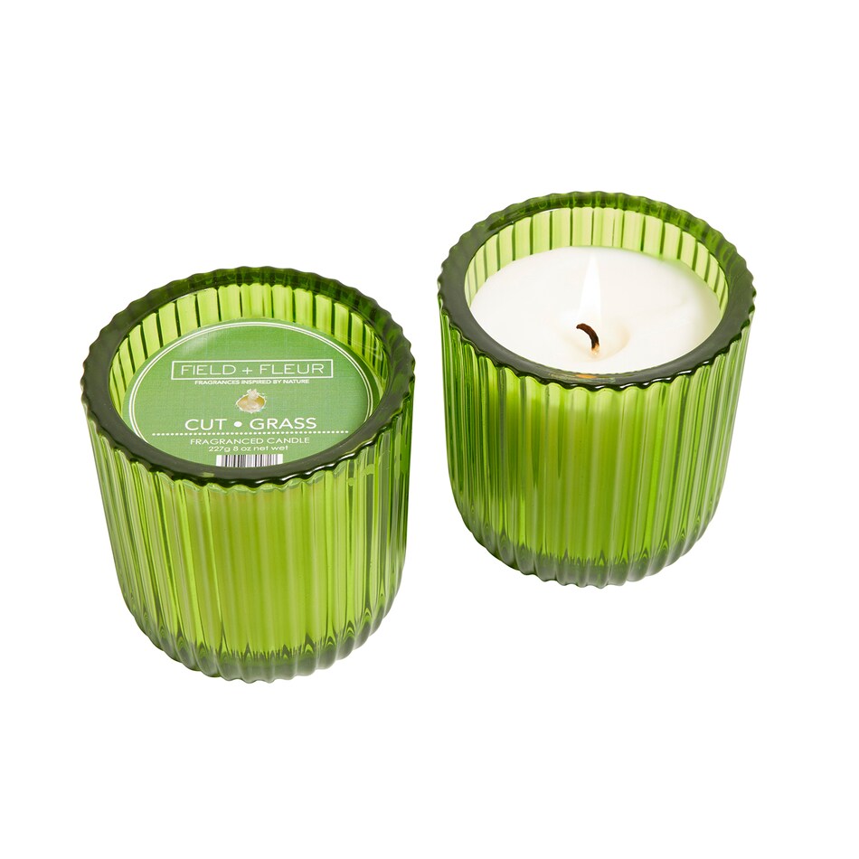 august haven candle light   