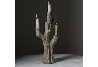 august haven candle light   