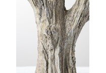 august haven candle light   