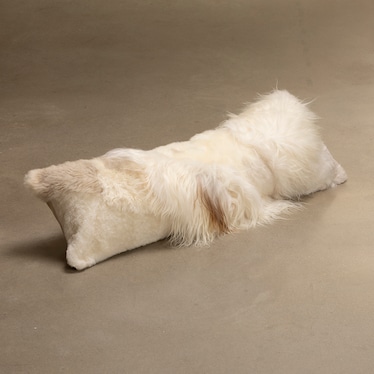 Pillow w/ Insert