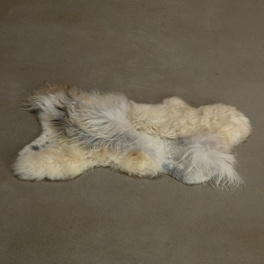 Icelandic Sheepskin 2'x6' Multi White / Gray Rug