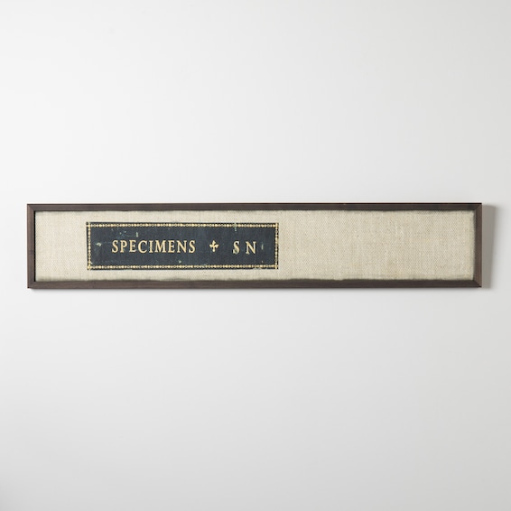 Specimen Book Art