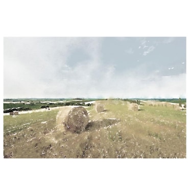 Country Landscape VIII Art