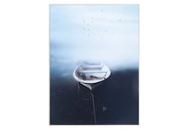 august haven wall art   