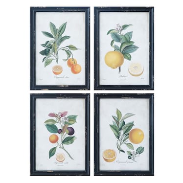 Asst'd Citrus Fruit Art