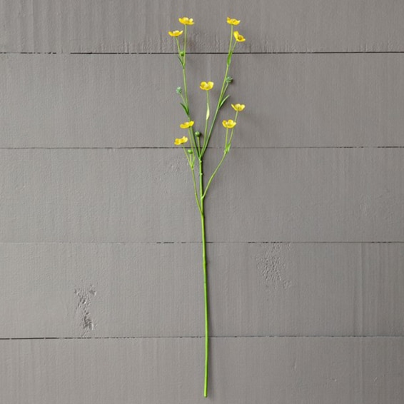 Yellow Prairie Flower