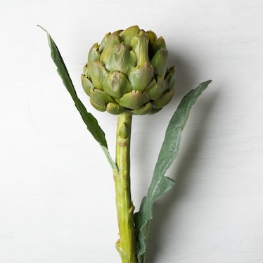 25" Artichoke Stem