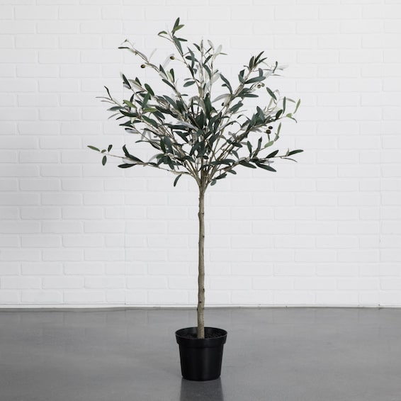 60" Potted Olive Topiary