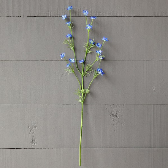 Wild Delphinium