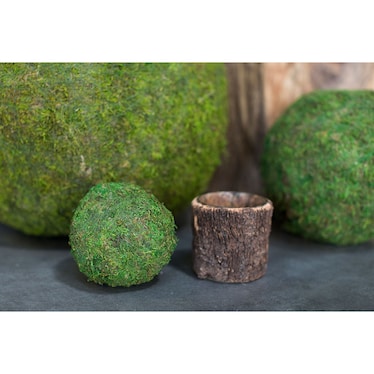 Moss Sphere - 4"
