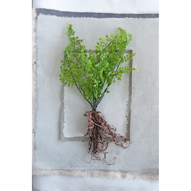 32" Faux Fern w/ Exposed Roots
