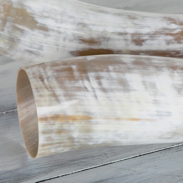 Pair Small Cow Horns Natural