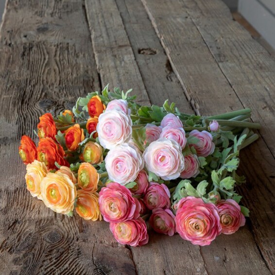 Field Ranunculus Floral