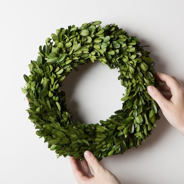 Boxwood 12" Wreath