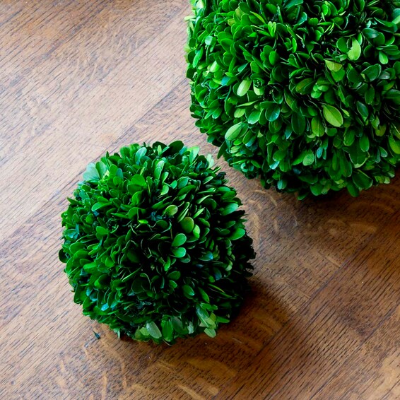 Boxwood Ball 6"