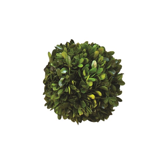 Boxwood Ball 10"