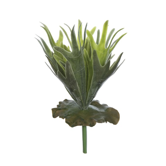 Faux Staghorn Fern