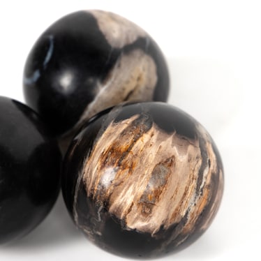 Petrified Wood Balls S/3