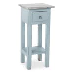blue accent pieces   