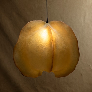 Wynn Pendant Light