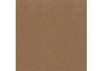 caramel brown swatch  