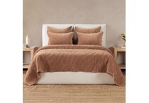 cbed brown   