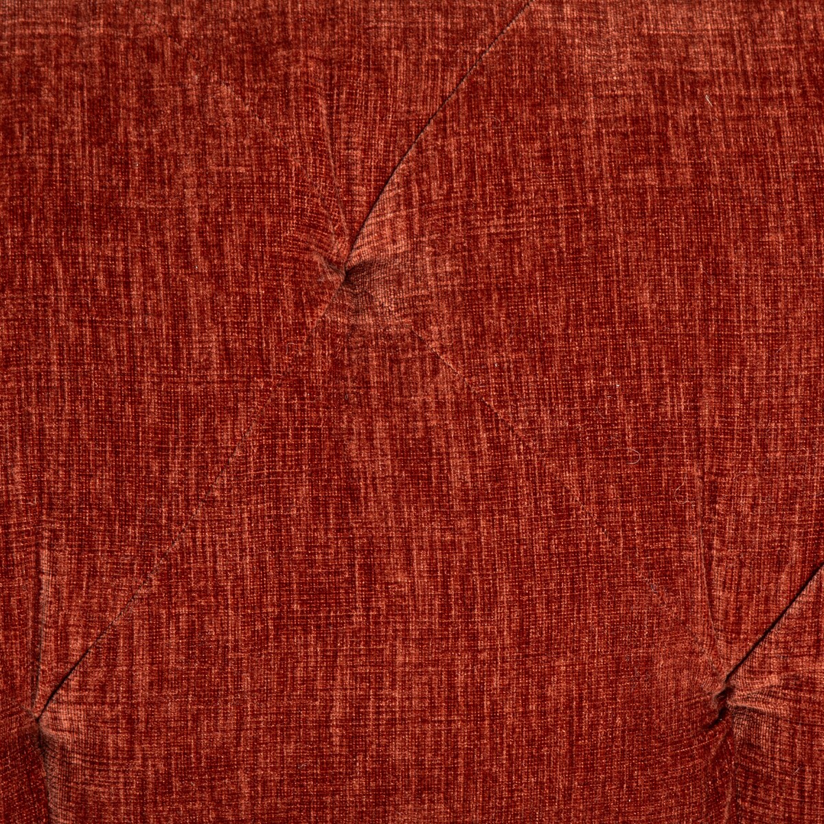 contessa paprika august haven