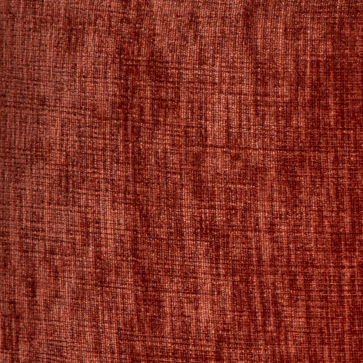 contessa paprika august haven